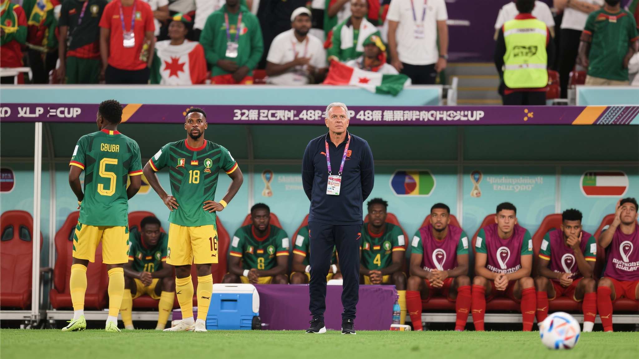 世界杯平台概况简介